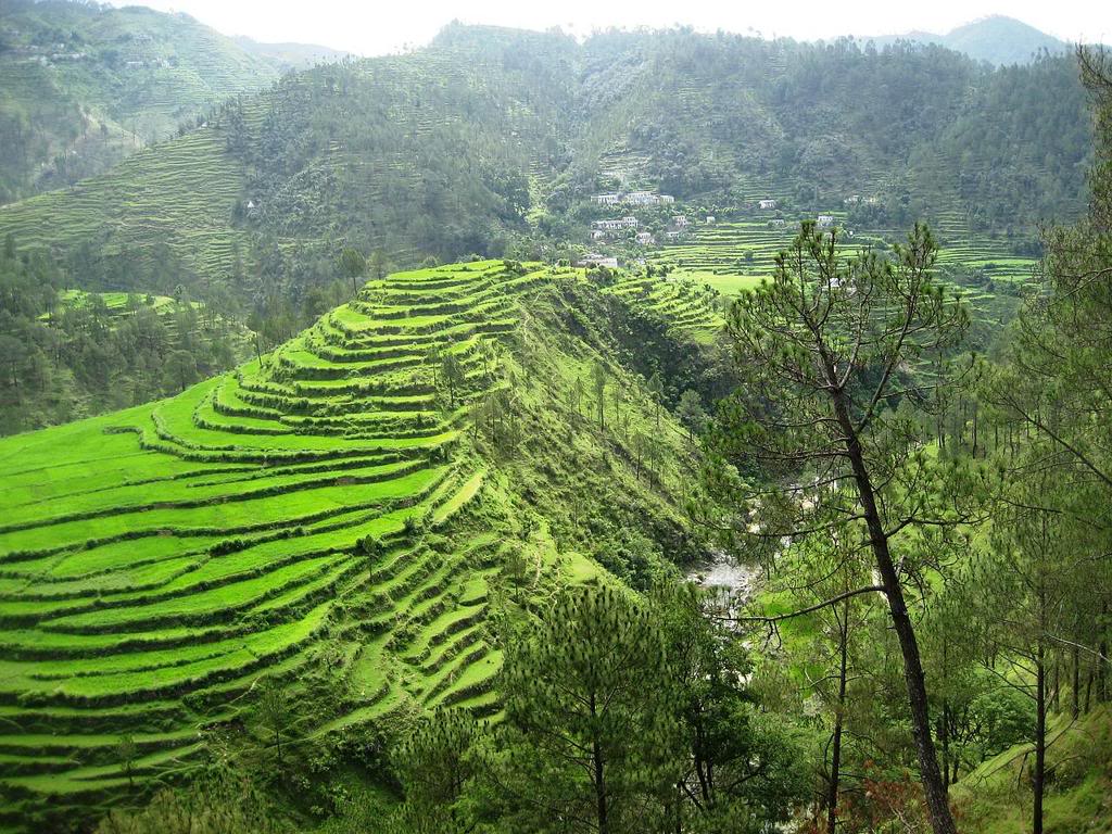 Uttar Pradesh