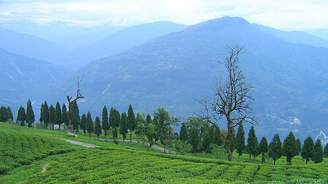Sikkim