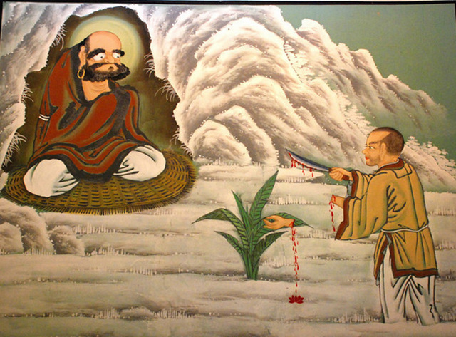 bodhi