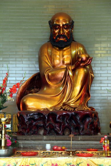 bodhi