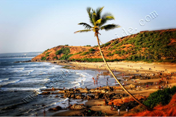 goa