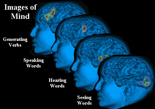 Mind