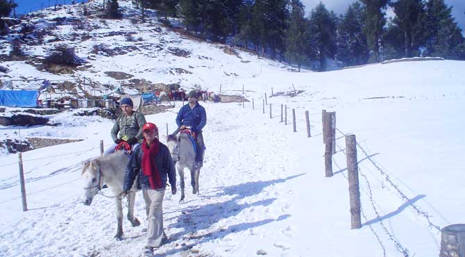 Shimla